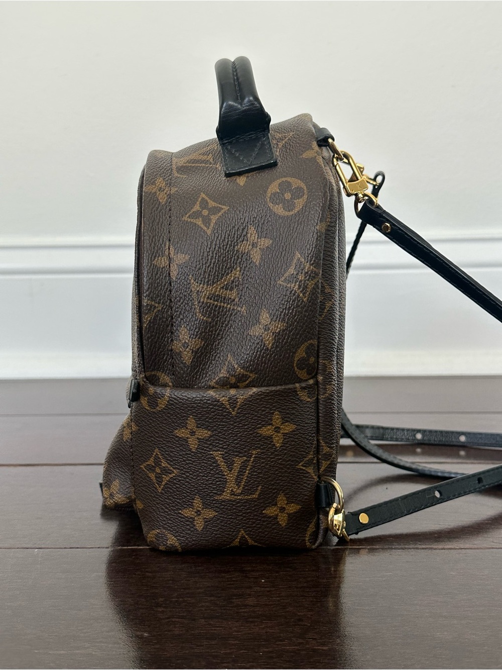 Louis Vuitton Palm Springs Mini Backpack - Picture 4 of 16